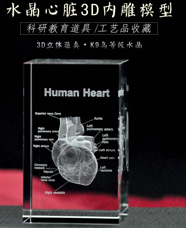 TOP COOL BEST GIFT - Medicine Medical Science Internal Doctor heart Figurine 3D Crystal decorative art statue