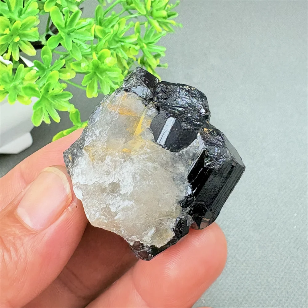 Mineral Specimen Black Tourmaline And White Quartz Symbiotic Growth Healing Gemstones Quartz Crystals for Decorative Purposes