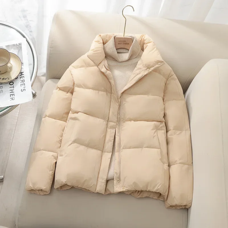 Autunno inverno temperamento pendolarismo stile donna 2024 inverno coreano Breadms sciolto addensato cerniera regolare abbigliamento donna viola