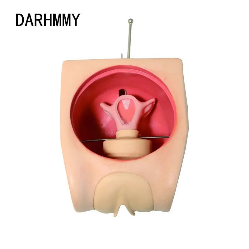 DARHMMY Advanced Birth Control Model Family Planning Education Model Contraception Simulator IUD Model