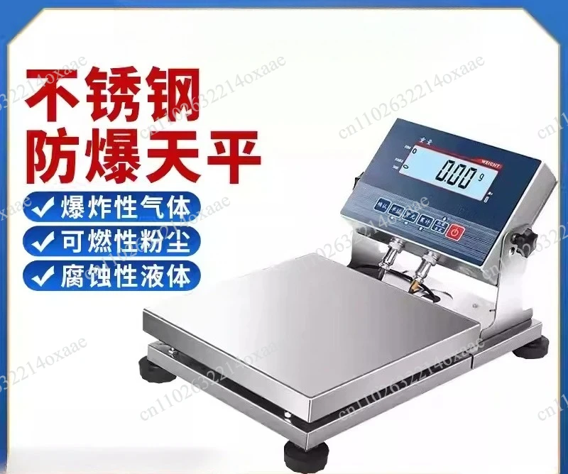 Industrial-Grade 5kg/20kg/30kg Electronic Platform Scale, Stainless Steel, 0.1g/1g Resolution for Paint & Chemical Industry