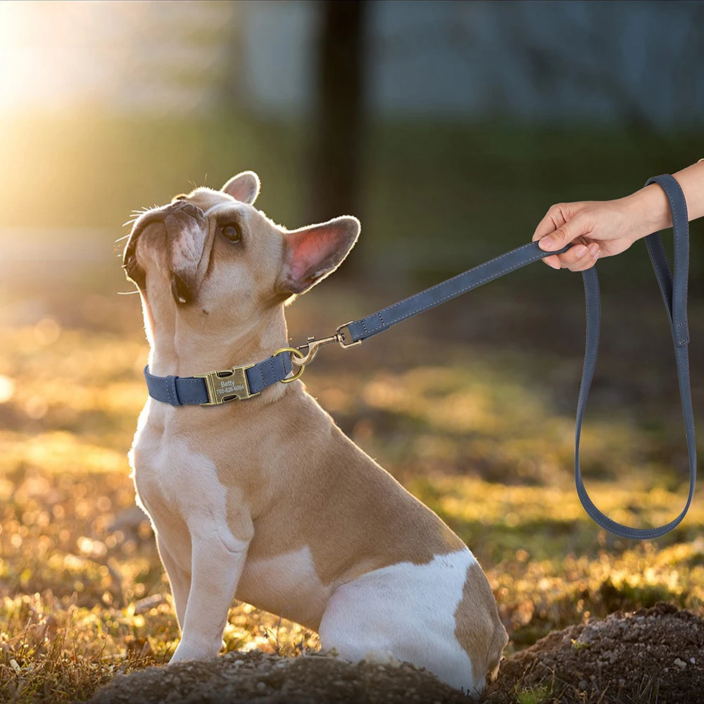 Kişiselleştirilmiş köpek tasması ve tasma seti PU deri köpek tasmaları köpek tasması s kurşun halat ile küçük büyük köpekler için özel kazınmış