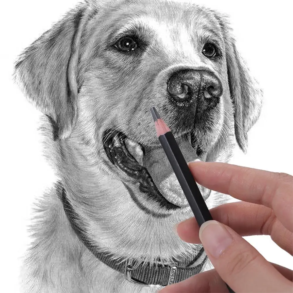 

Smooth Writing Sketch Pencil Set HB 2H 4H B 2B 3B 10B 12B 14B Graphite Pencil Details Highlight 4B 5B 6B 7B 8B Drawing Pencil