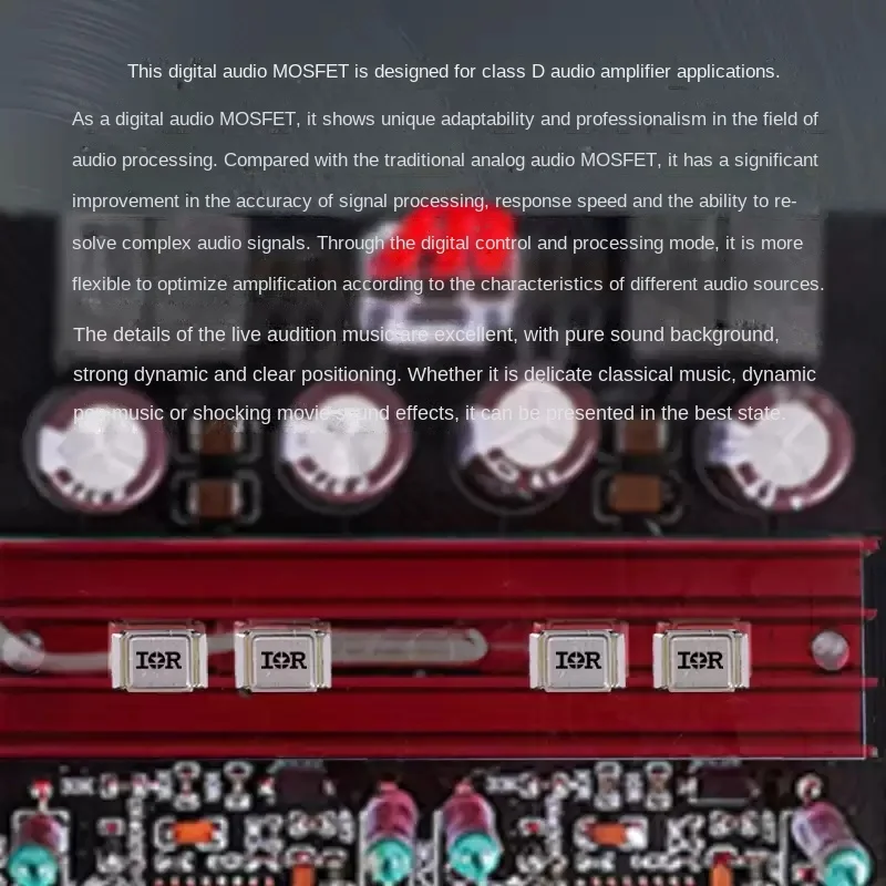 Panda Rabbit 2025PA-ir600 or scellé effet de champ MOS Tube classe D amplificateur numérique HiFi haute puissance usage domestique