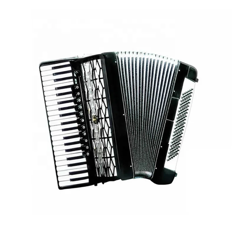 41 Keys 120 Bass 11+2 Registers Piano Keyboard Accordion Instrument