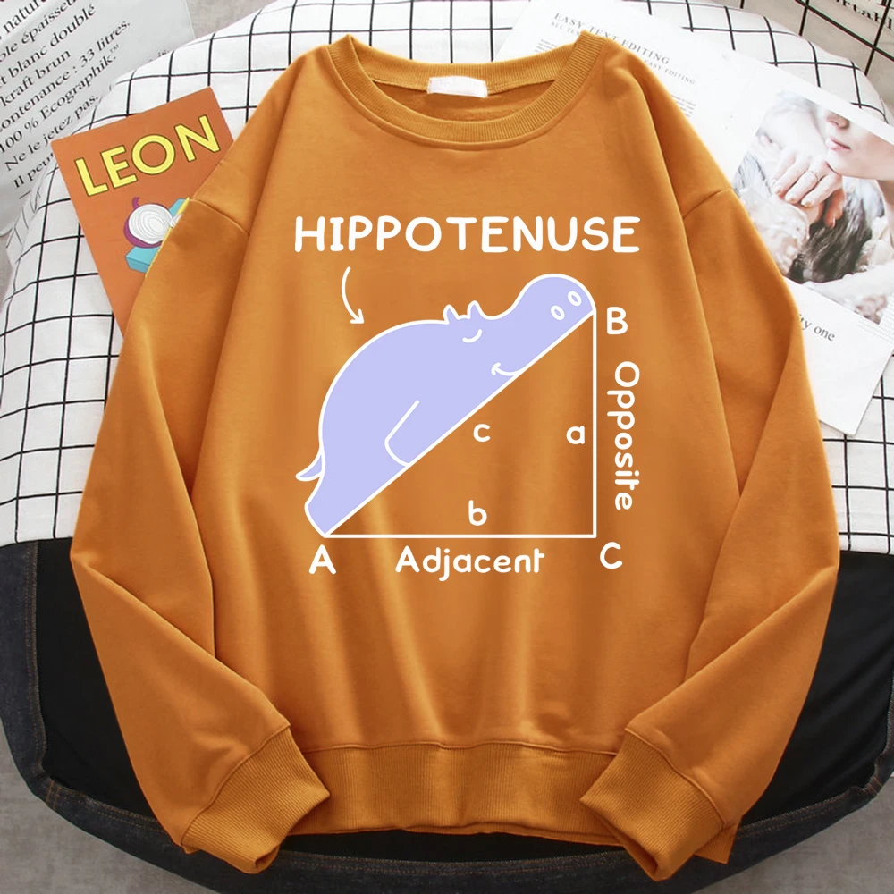 Trend Autumn Sweatshirt For Women Hippo Sleeping On Math Problem Print Hoody Soft Fleece Pullover Loose Warm Female Streetwear