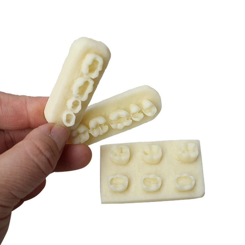 Dental practice resin block practice filling of dental implants resin module examination  practice model