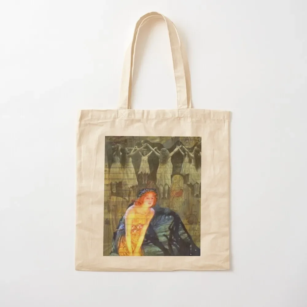 Fairies and White Witches Tote Bag shopping cart bags bags woman 2025 tote bag canvas Canvas stote bag