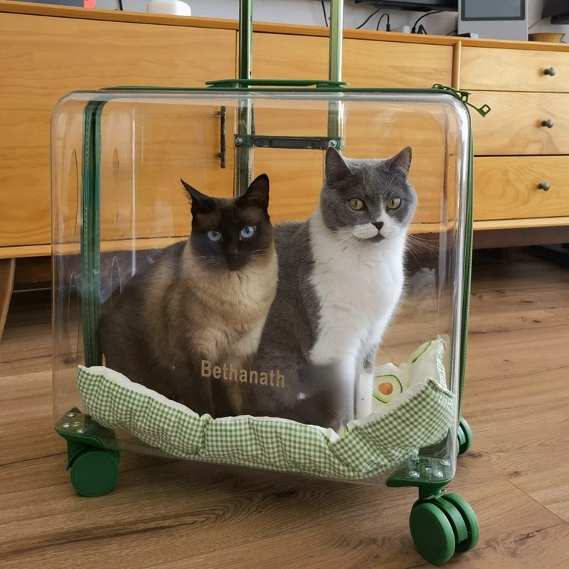 Modern Pet Outing Box Dog Cat Travel Trolley Case Transport Bag Transparent Wide View Bag Large Capacity Portable Cat Handbag