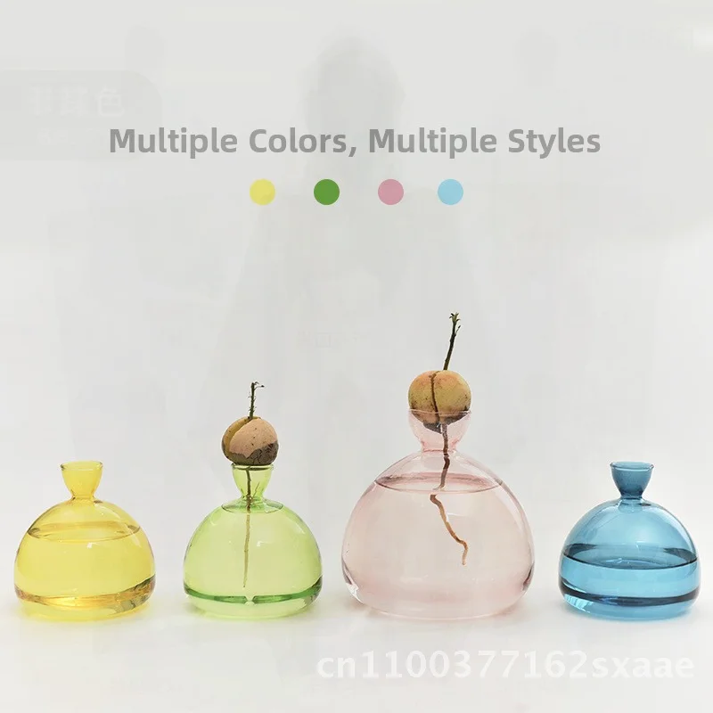 

Гидропонная стеклянная ваза с авокадо в японском стиле, специальный контейнер для семян для посадки, красочная ваза ручной работы из боросиликатного фруктового сердцевины