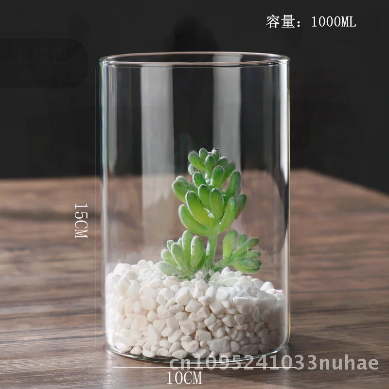 

Художественная прозрачная стеклянная банка из боросиликатного стекла, гидропонная ваза для растений, декоративный дизайн рыбы, цветочная композиция для гостиной