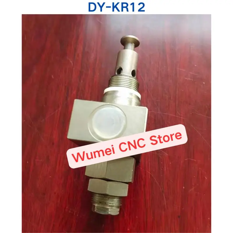 Brand new Same replacement multi-point pump plunger KR12 lubrication pump plunger head DY-KR12