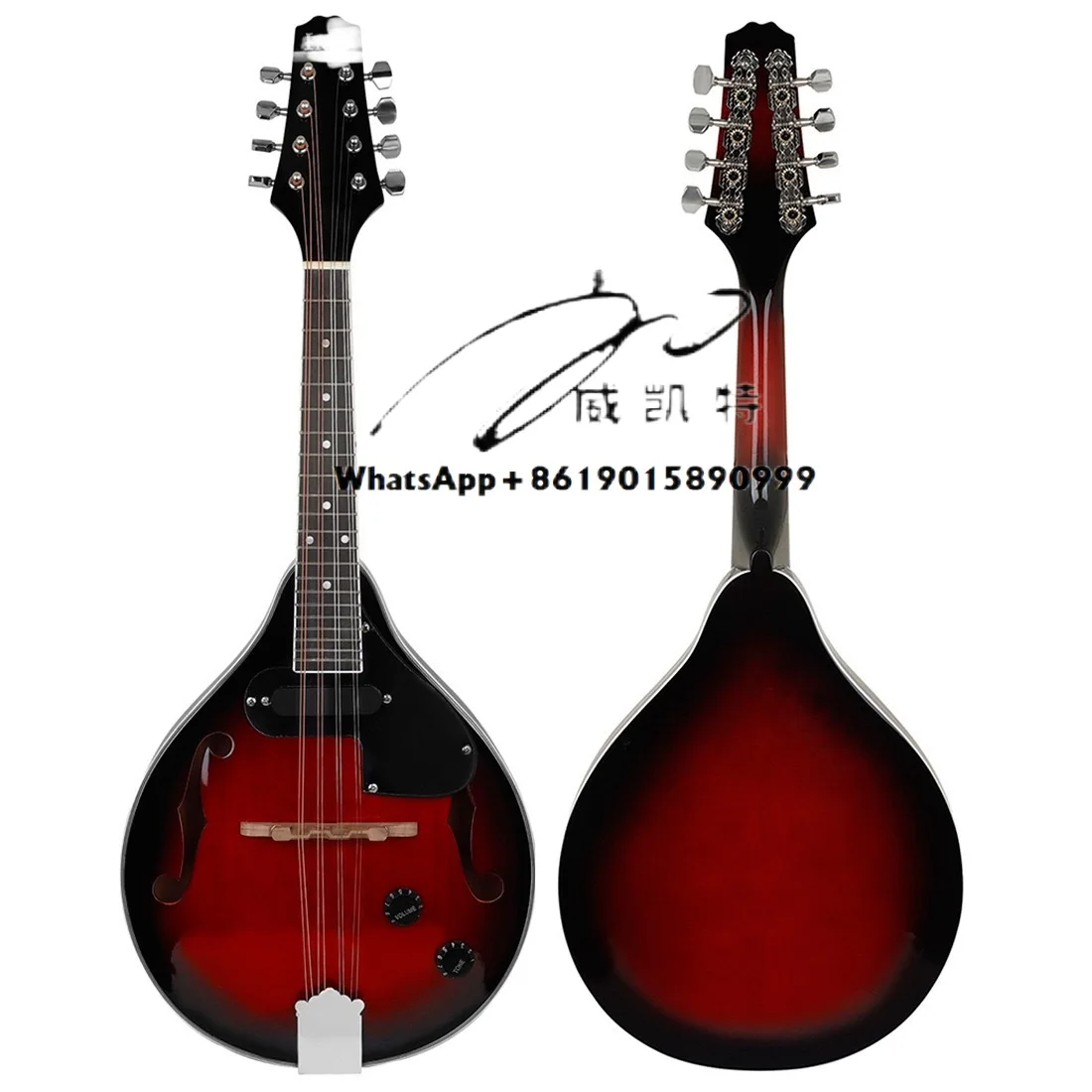 

Оптовая продажа, дешевый первый выбор для начинающих, электроакустическая мандолина, выбранная роза, из массива дерева, национальный инструмент