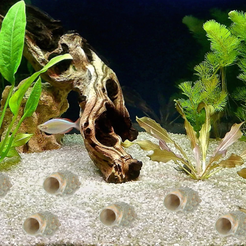 

100Pcs Conch Shell Decorations Hermit Crab Shell Replacements Aquarium Fish Tank Landscape DIY Natural Conch Craft