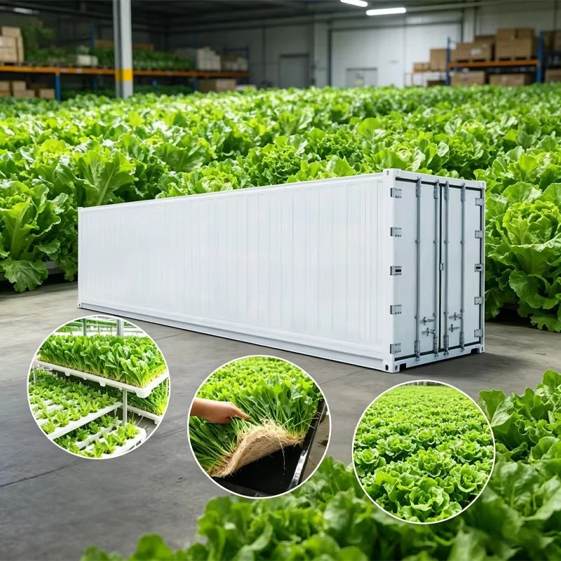 Контейнеры для выращивания рас – обзор и цена Plant Monitor