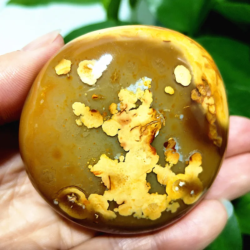 Natural Stones Beautiful Flowers Agate Palm Herat Stones Witchcraft Meditation Spiritual Healing Crystals Home Decoration