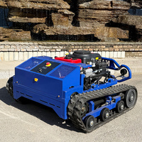 Customized Hot Sale Remote Control RC Smart Crawler Lawn Mower for Agriculture