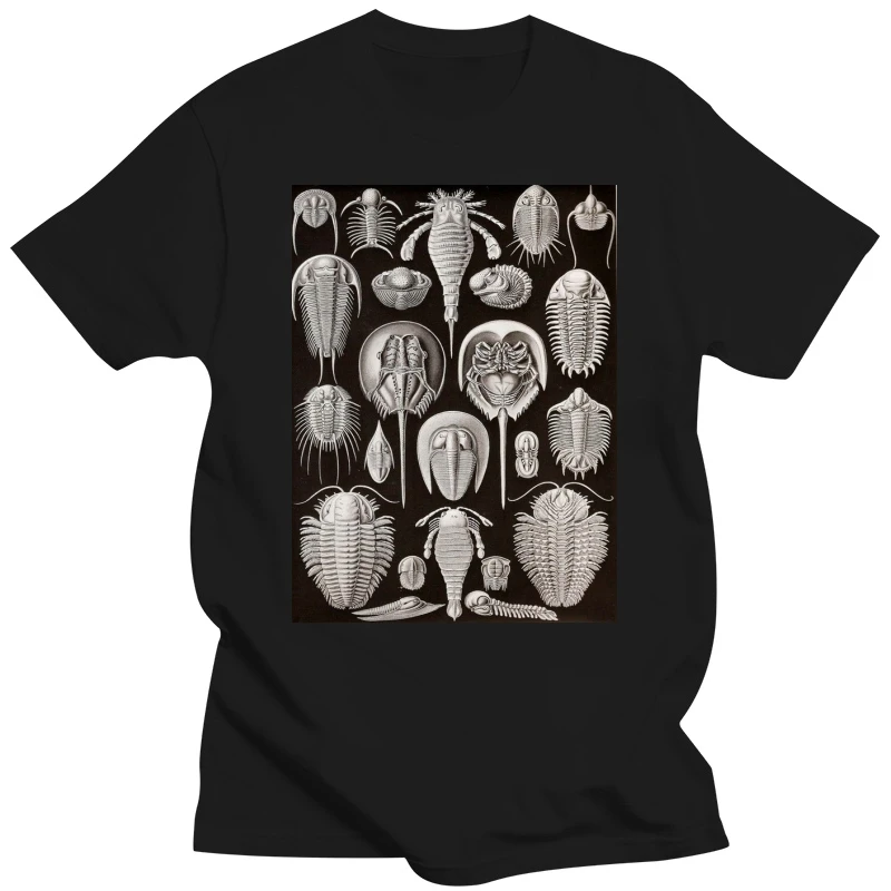 Men T-Shirt 2020 Newest 100% Cotton Brand New T-Shirts Trilobites By Haeckel, Fossils, Geology T-Shirt Cotton T-Shirt