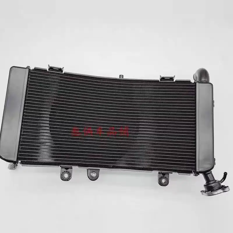 

Для VOGE 900DSX LX900-C мотоциклетный бак для воды, радиатор, бак для воды в сборе, оригинальные аксессуары