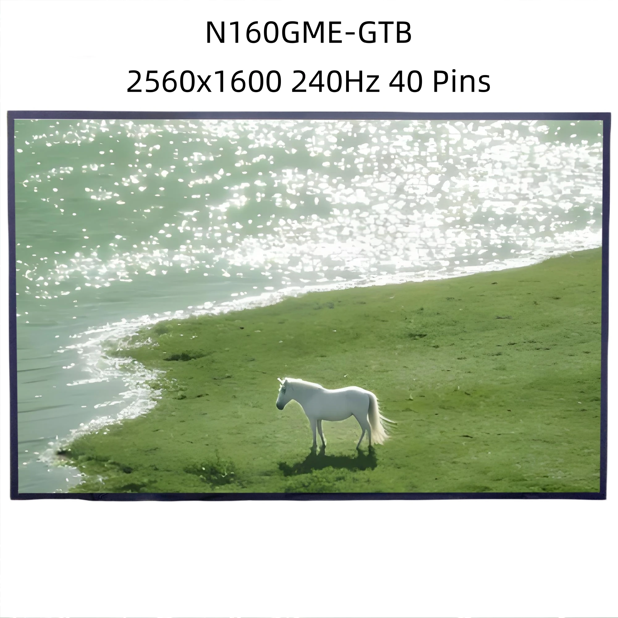 

N160GME-GTB 2560X1600 Ips Matrix LCD Screen 16 Inch 2.5K 16:10 240Hz