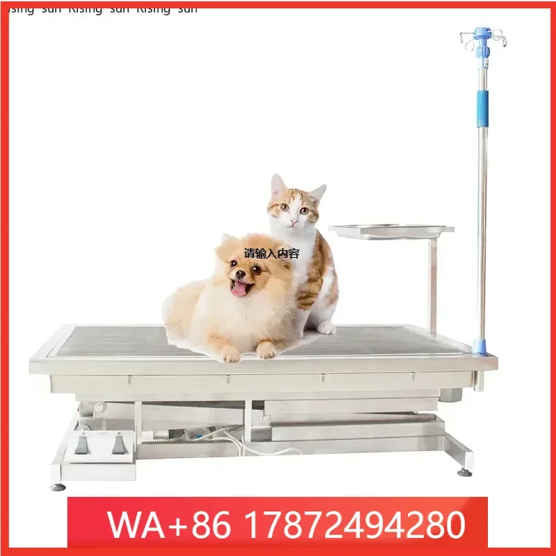 Hot Selling eterinary/et X-ray Lift Operating For Animal From Factory