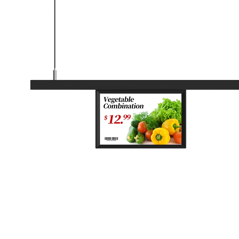 10,1 Zoll LCD Digitaler Preisschild Elektronisches Regaletikett für Einzelhandelsgeschäfte mit elektronischem WLAN-Vollfarbbildschirm