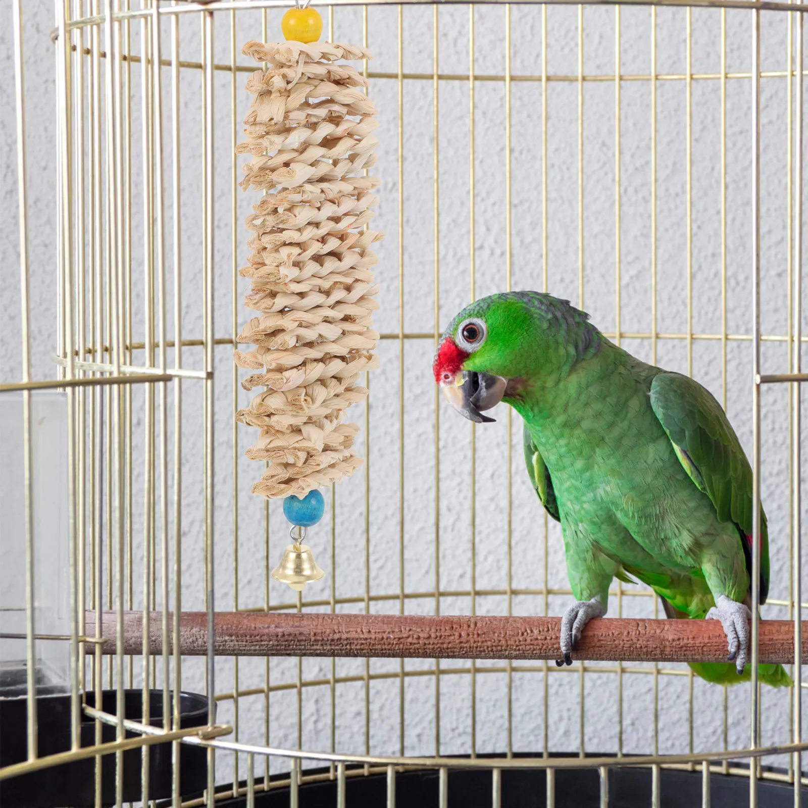 Natural Parrot Corn…