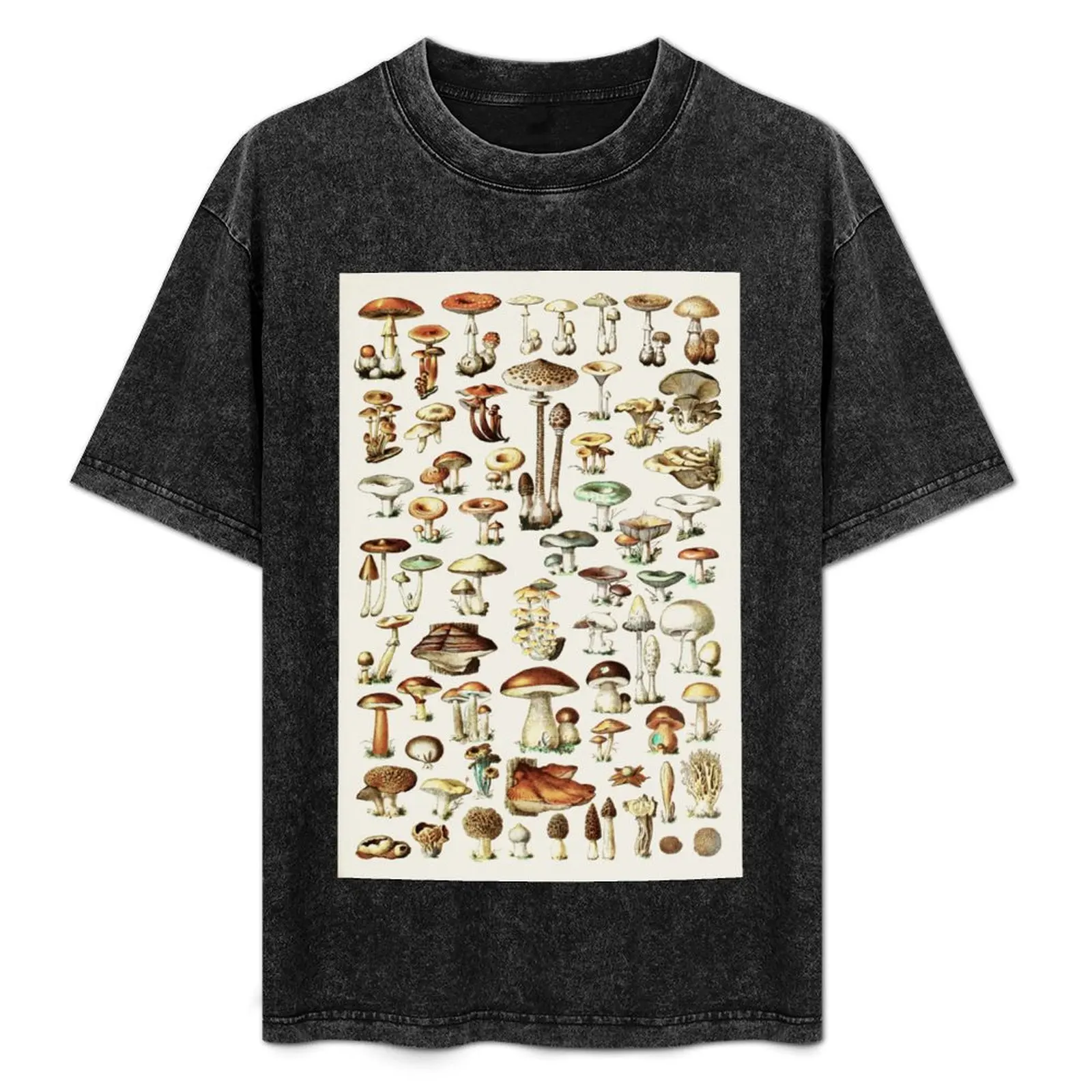 Camiseta Champignon I Vintage French Mushroom Chart de Adolphe Millot, camiseta de algodón suave y duradera