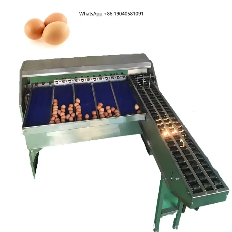 Selling Grading Machine/sorting /