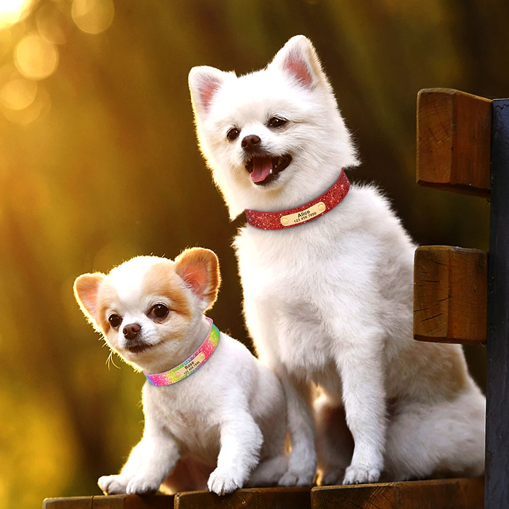 Collier en cristal réglable personnalisé pour chien et chat, colliers anti-perte, cuir, chiot, chats, nœud papillon, accessoires en biscuits