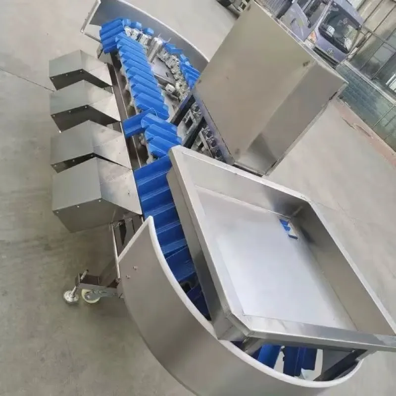 Vegetable/Fruit Sorting Grading Machine