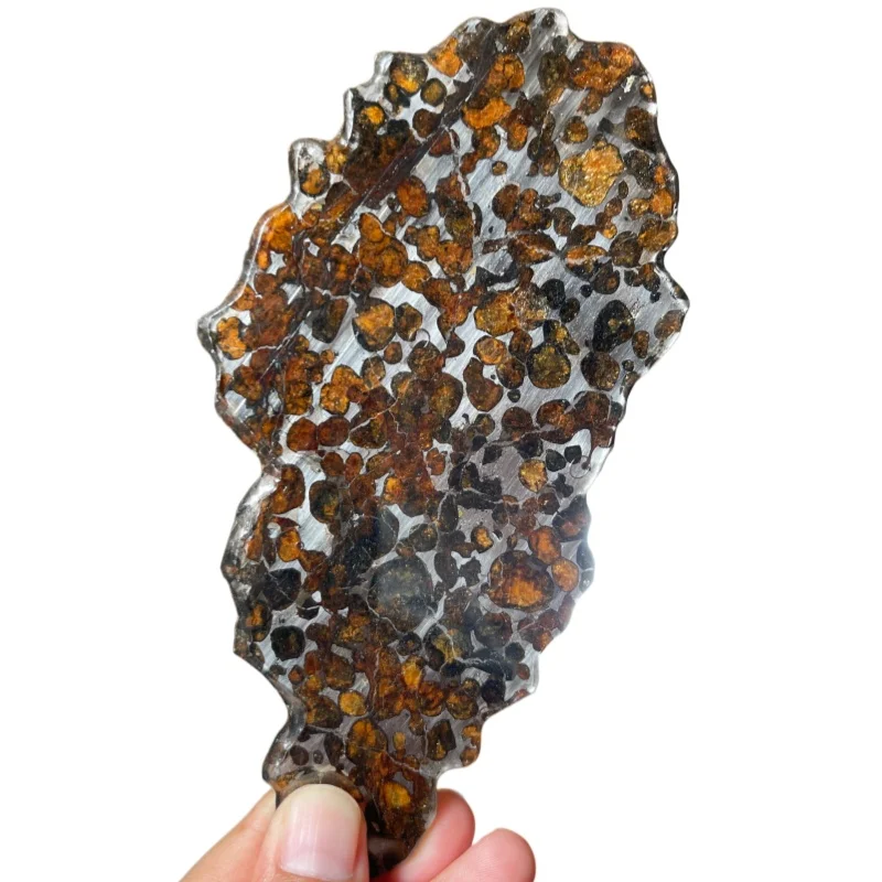 Premium Kenya Sericho Pallasite Meteorite Slice Unique Dense Crystal Pattern Space Stone for Collection & Display QA860