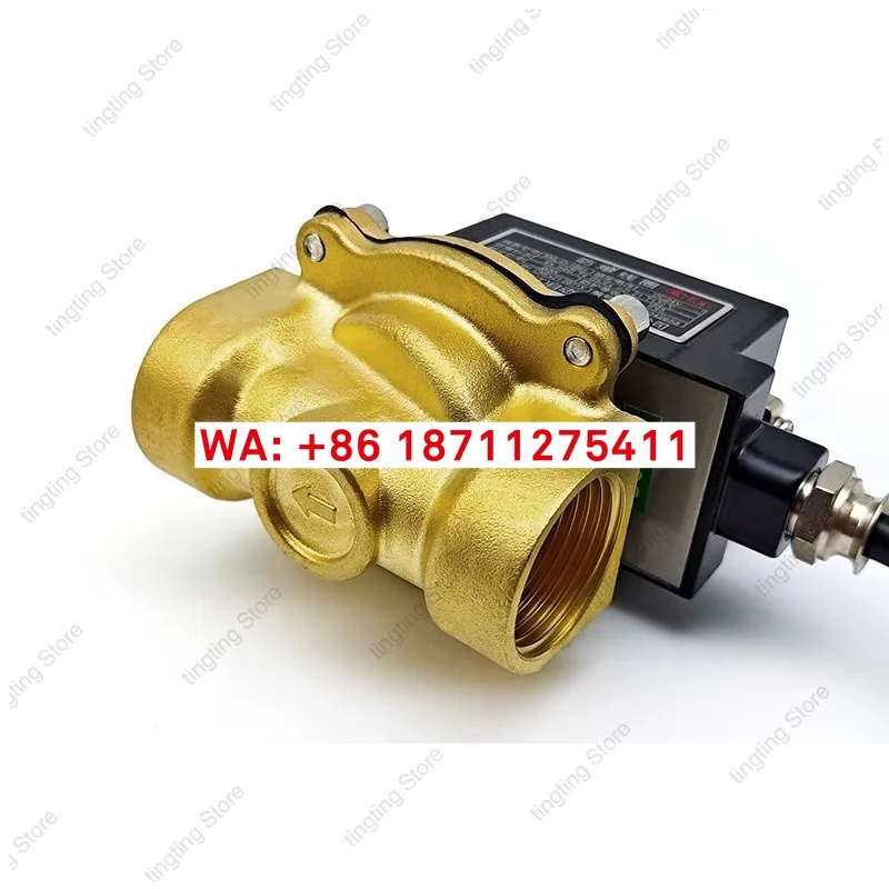Electrovanne-antideflagrante-eau-gaz-naturel-vanne-de-gaz-gaz-ac220v-normalement-ouvert-24v
