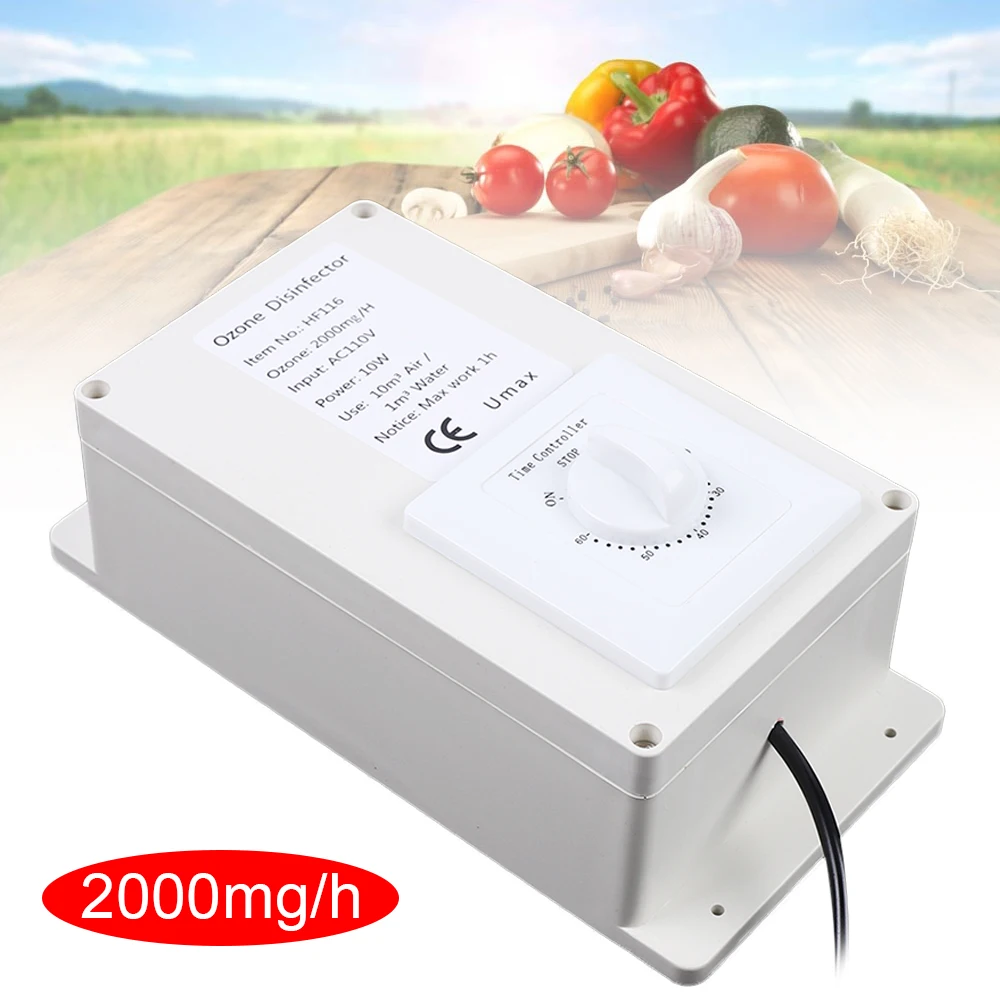 Portable Ozone Generator 2000mg Air Water Sterilizer Purifier Fruits Vegetables Water Air Sterilizer