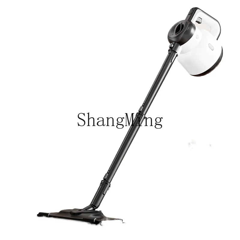 ماكينة تنظيف بالبخار ذات درجة الحرارة العالية والضغط العالي ZYY ممسحة بخارية منزلية