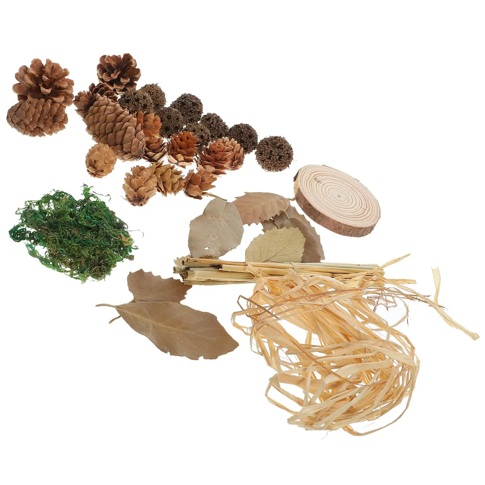 

Retro Photography Props Food Background Supplies Creative Decorative Leaf Crafts Vintage Home Store Decoration