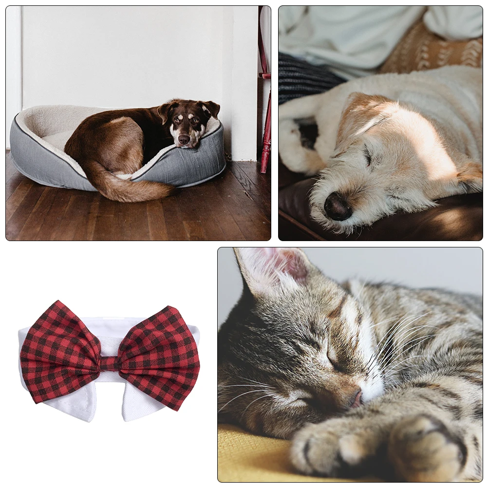 

Pet Bow Tie Adorable Puppy Accessory Decorative Breathable Dog Cat Supplies Lightweight Portable Washable Reusable