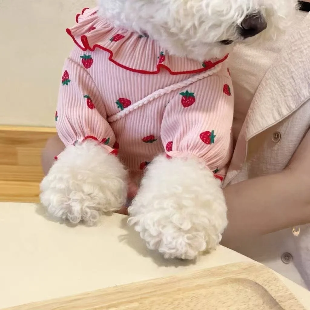 Erdbeer-Strickpullover für Hunde - Warme, Niedliche Haustierkleidung mit Rotem Rüschenrand für Kleine Rassen