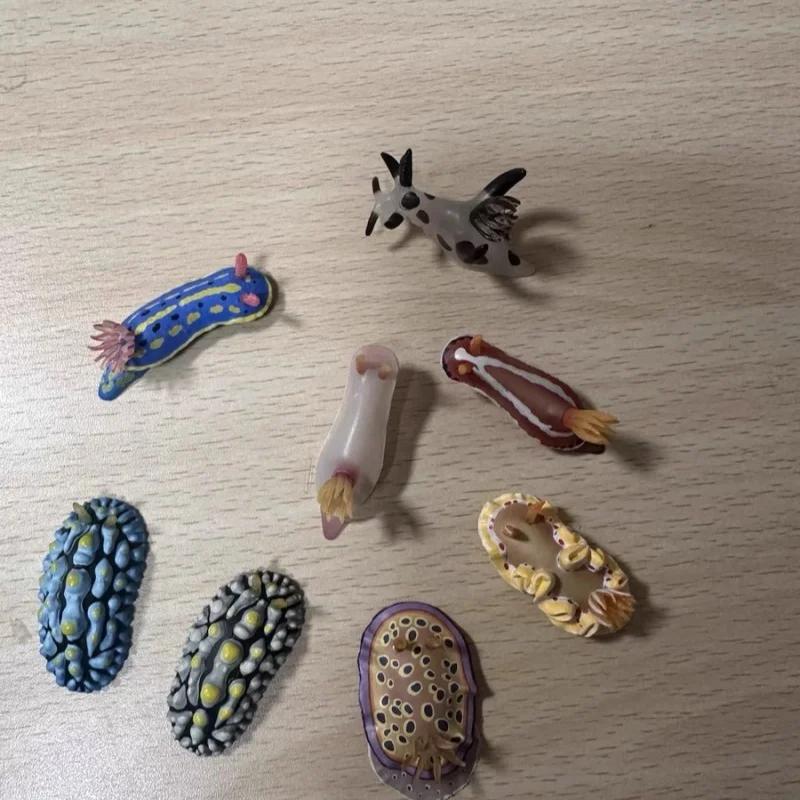 Ikimon Ntc해양 생물 불가사리 해마 시뮬레이션 모델 슬러그 수집용 모델 바다 슬러그 바다 토끼