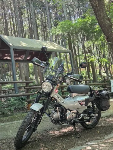 구매후기