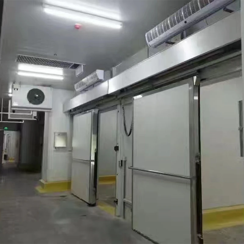 غرفة تخزين باردة تجارية مخصصة للمشي في مبرد الفريزر لنظام اللحوم والخضروات والمأكولات البحرية التجارية #6