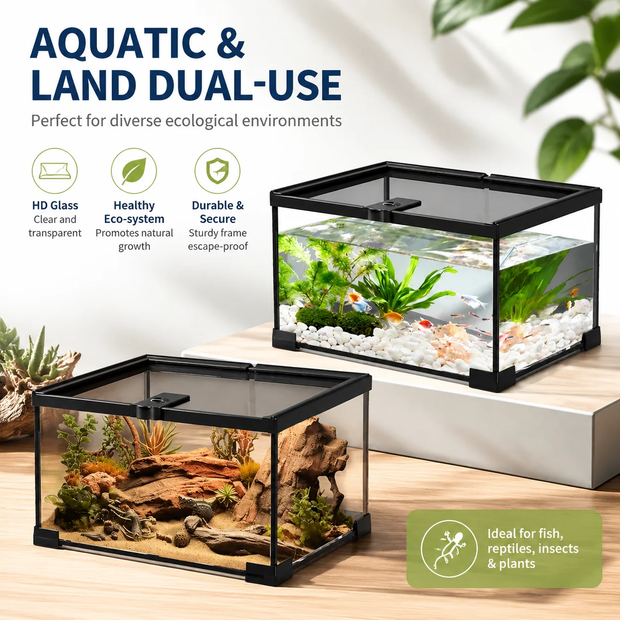 Transparent Eco-Friendly Pet Feeding & Viewing Tank for Reptiles, Amphibians, and Small Aquatic Animals