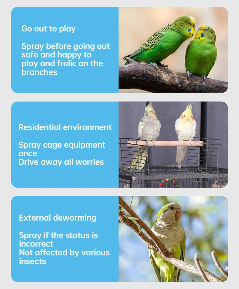 Thumbnail 4 - #12 Latest Bird Supplies Offers