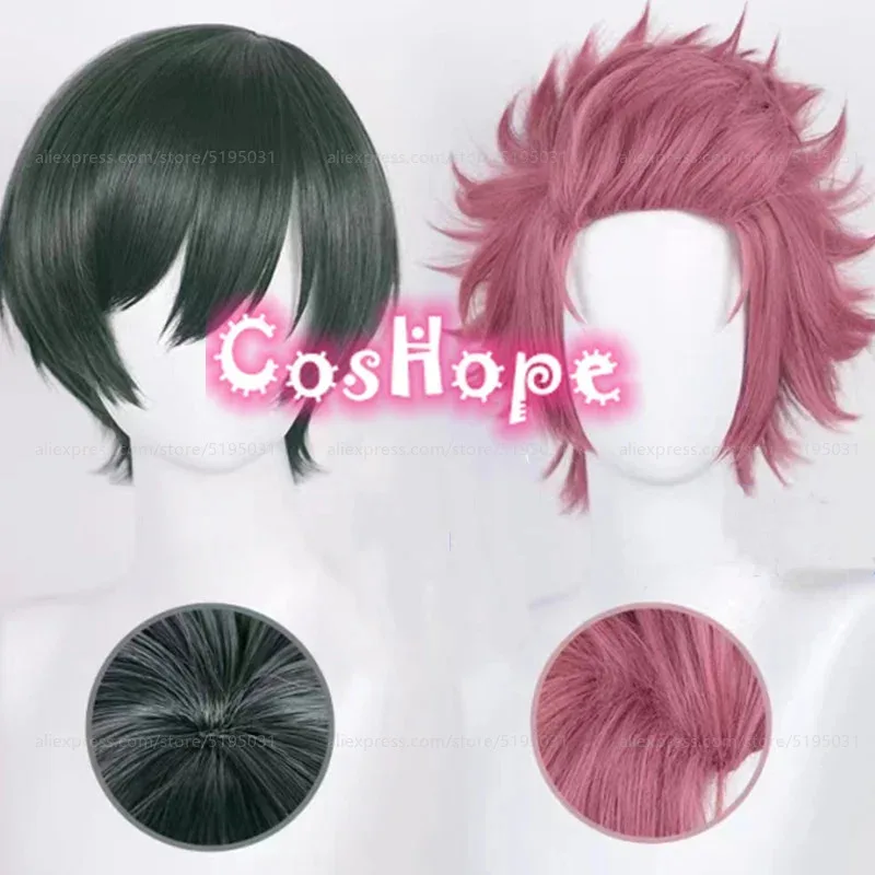 

Rin Itoshi Cosplay Wig Sae Itoshi Wig Pre Styled Wig Dark Green Rose Red Wig Cosplay Wig Heat Resistant Synthetic Wig