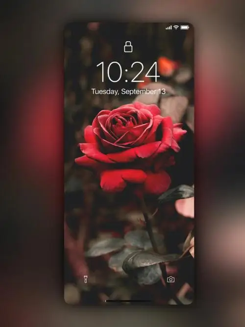 

BLHeli Brushless ESC 12A 20A 30A 40A 50A 60A 80A with UBEC Electronic Speed Controller for Fixed Wing DIY FPV RC Drone Airplane