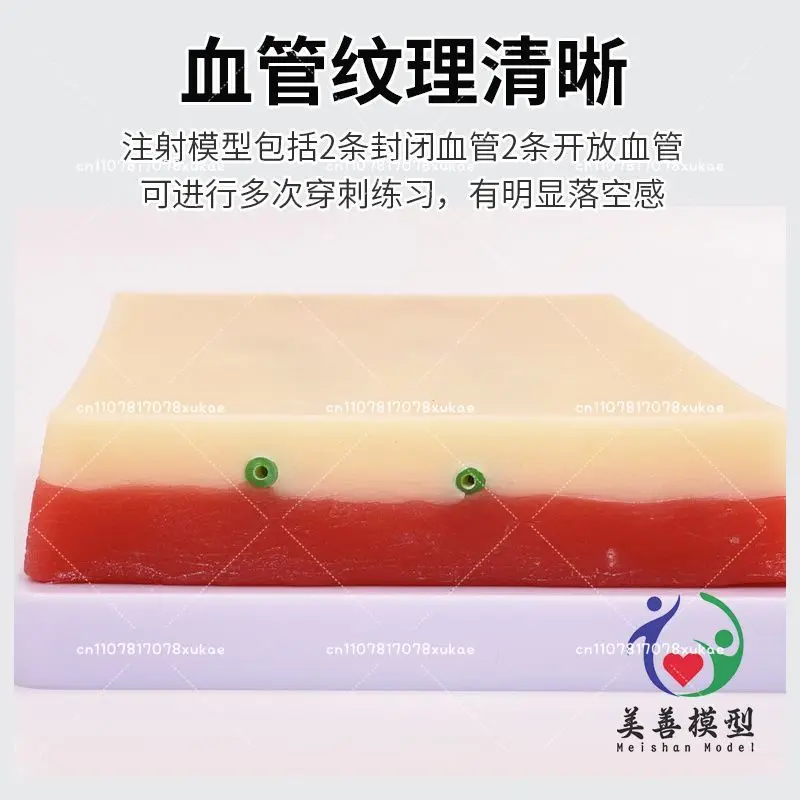 Human Simulation Skin Injection Training Model, Vein Puncture Module, Subcutaneous Injection Exercise, Forearm Puncture