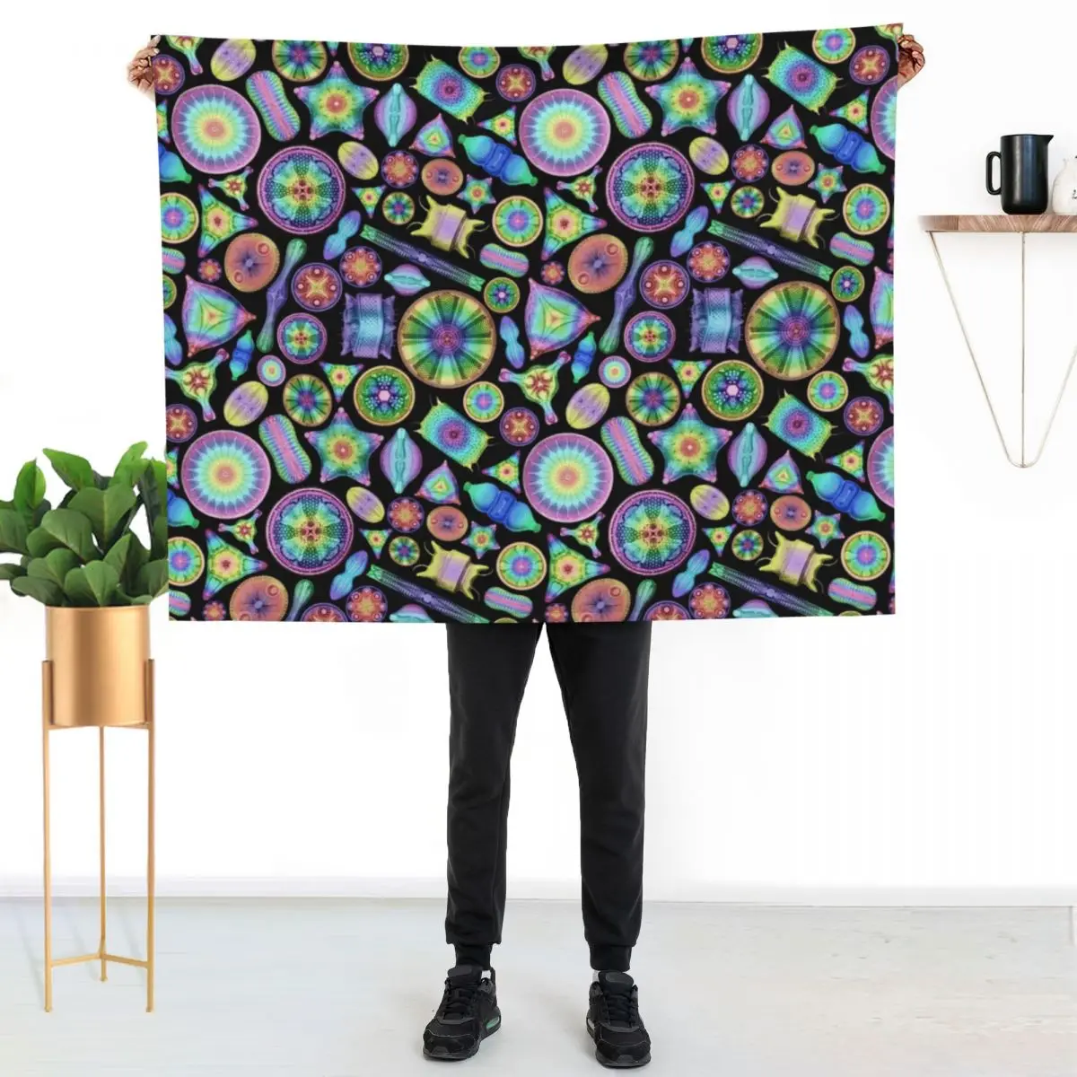 Ernst Haeckel Rainbow Diatoms on Black Throw Blanket Soft Plush Plaid Furrys halloween Custom Winter beds Blankets
