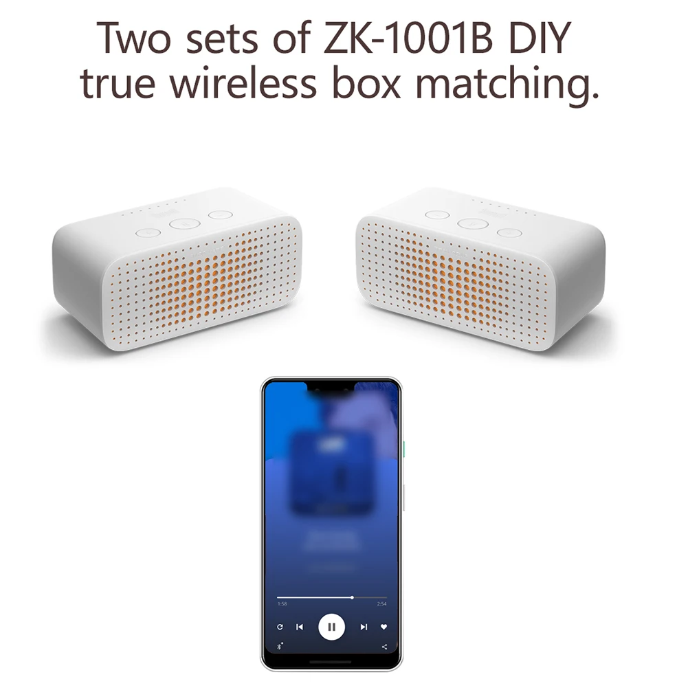 ZK-1001B Mono 100W …