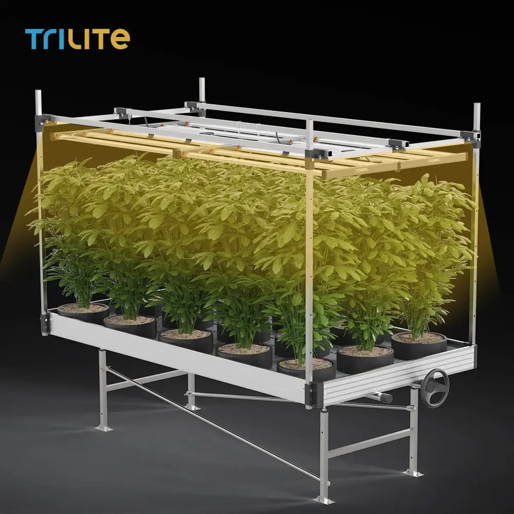 2024 Rolling Bench Grow Table 4x8 Grow Table Rolling Benches Grow Tables Greenhouse for Sale