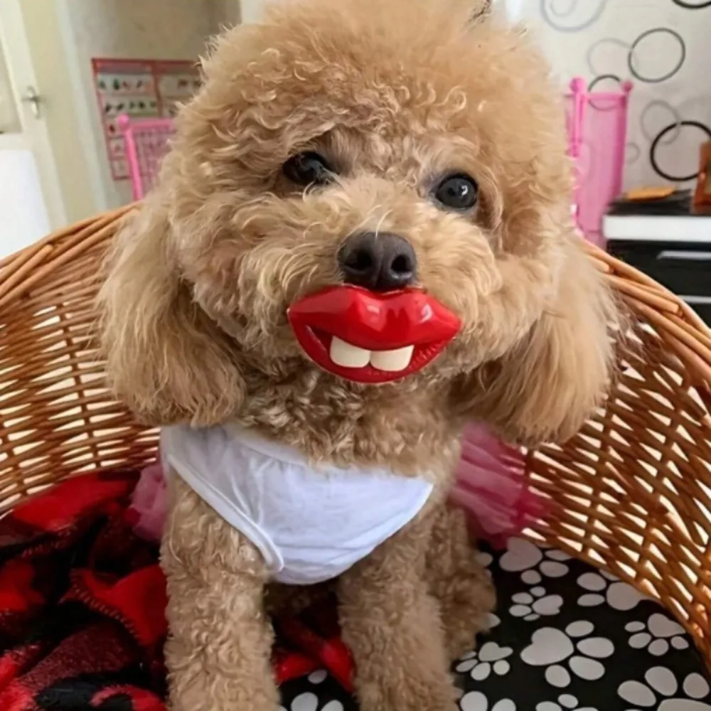 1PC Bite-Resistant Silicone Dog Toy with a Fun Pacifier Design, Helps Clean Teeth and Relieve Boredom, Suitable for Small Dogs